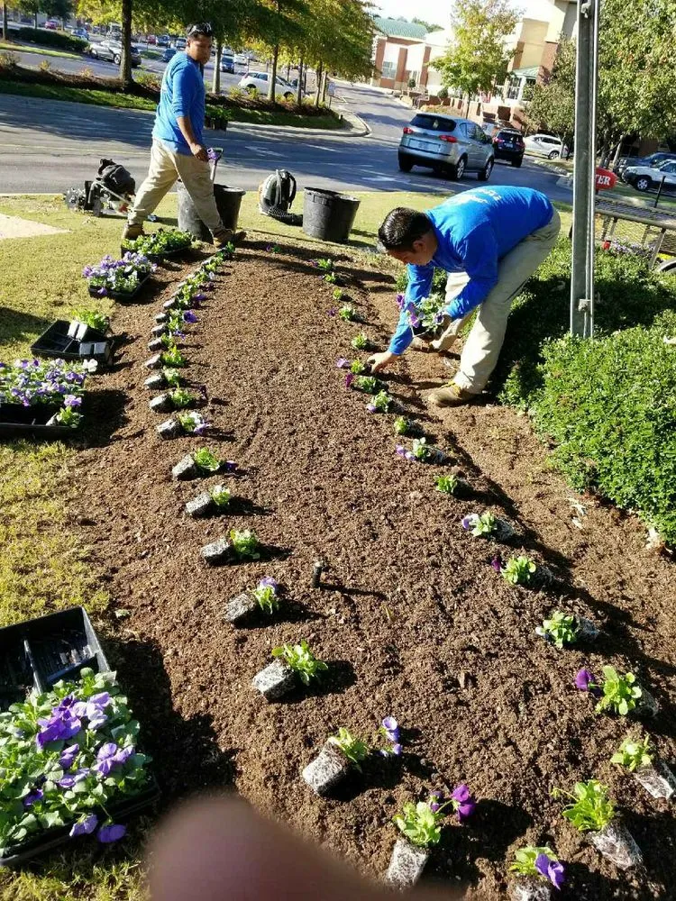 Local landscape design near you in Durham, NC by Lilies Landscaping