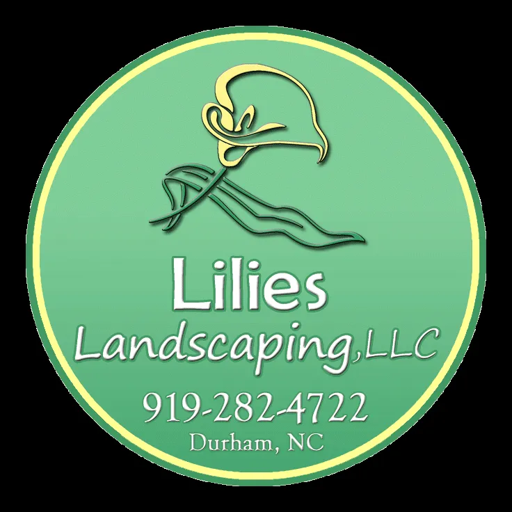 Custom yard cleanup service in Durham, NC by Lilies Landscaping