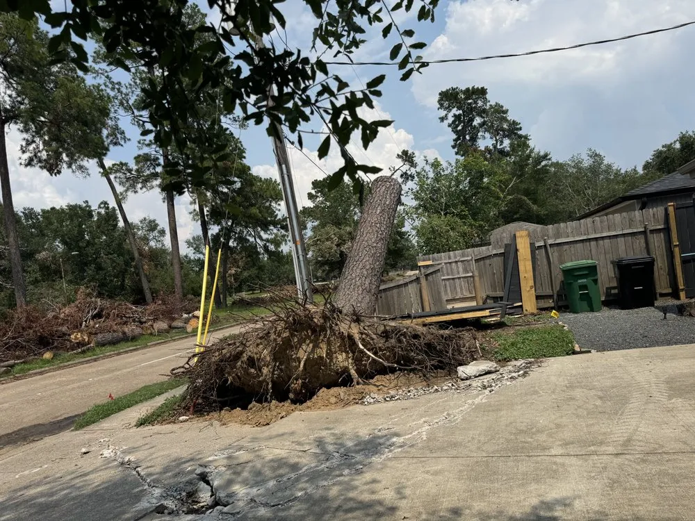 Professional yard cleanup service experts serving Houston, TX - Lilies Landscaping