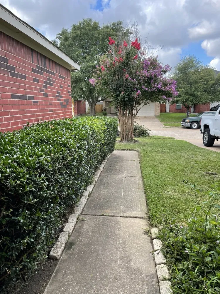 Trusted yard cleanup service in Houston, TX by Lilies Landscaping
