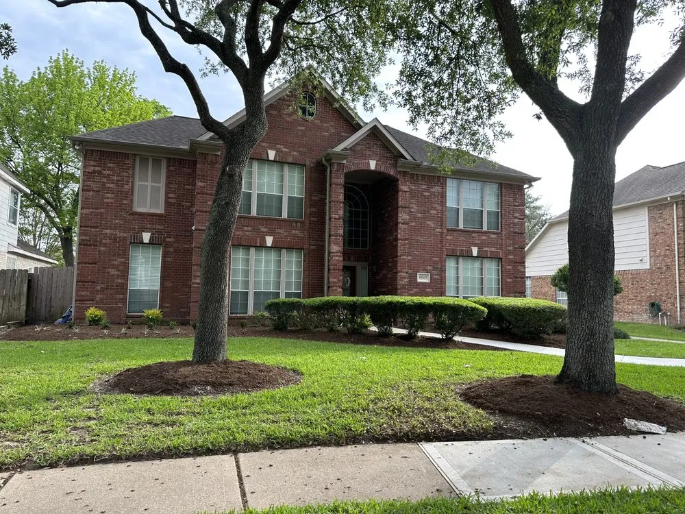 Professional yard cleanup service in Houston, TX - Lilies Landscaping