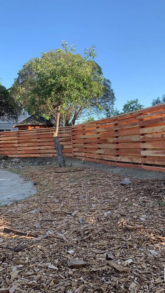 Professional lawn care service in Antioch, CA by Lili’s Garden