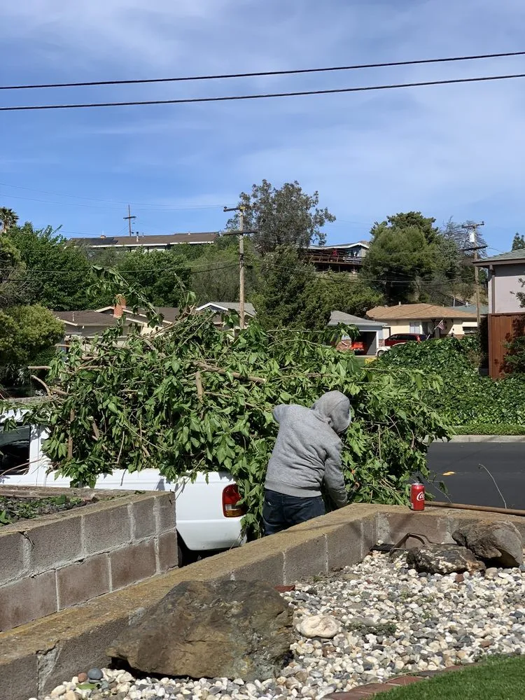 Reliable landscape design for homes in Antioch, CA by Lili’s Garden