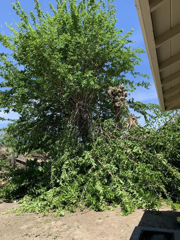 Trusted outdoor landscaping experts serving Antioch, CA - Lili’s Garden