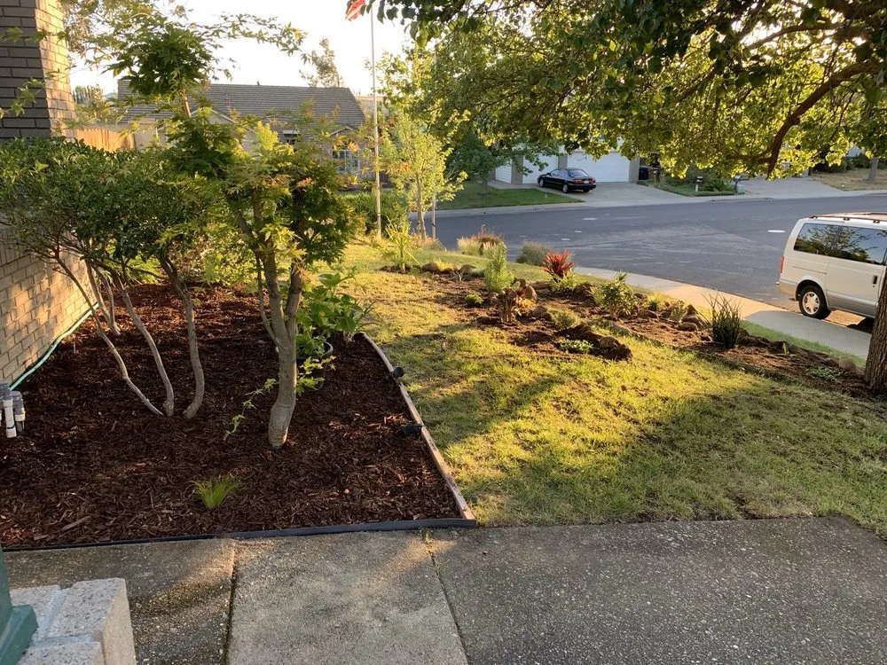 Local lawn mowing service in Antioch, CA - Lili’s Garden