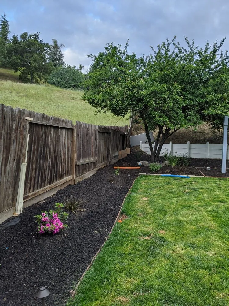 Top-rated yard maintenance in Antioch, CA - Lili’s Garden