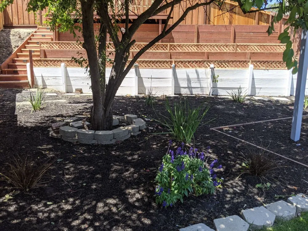 Professional outdoor landscaping in Antioch, CA by Lili’s Garden