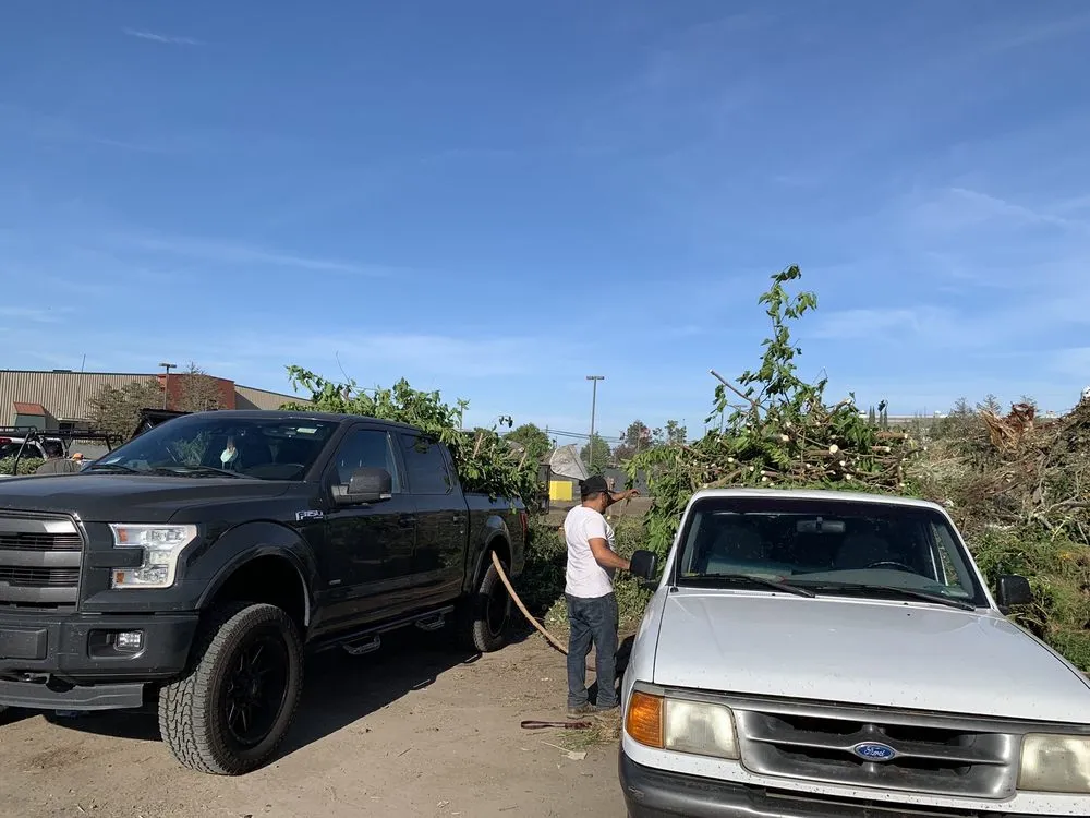 Trusted outdoor landscaping for year-round maintenance in Antioch, CA by Lili’s Garden