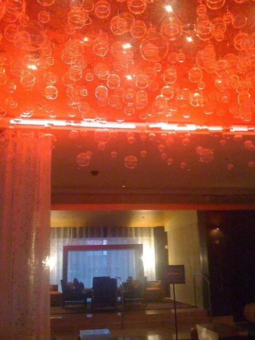 Trusted landscaping services in Antioch, CA - Lili’s Garden