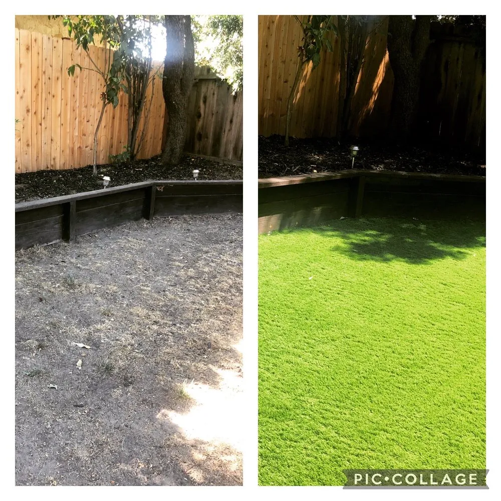 Trusted landscaping services with custom design in Antioch, CA by Lili’s Garden