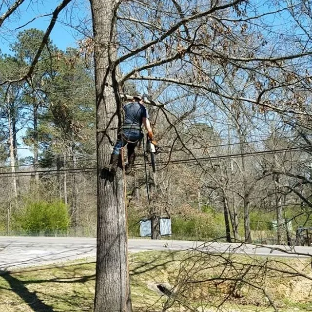 Custom yard cleanup service for residential properties across Helena, AL - Lilla's Lawn and Landscape