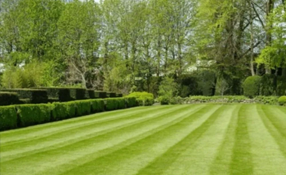 Local outdoor landscaping in Lillian, AL - Lillian's Elite Landscaping