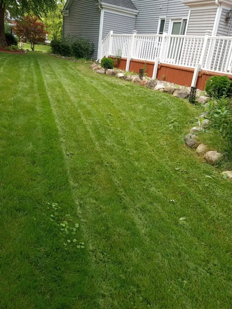 Custom yard cleanup service in Kenosha, WI by Lillians Lawn Care Service
