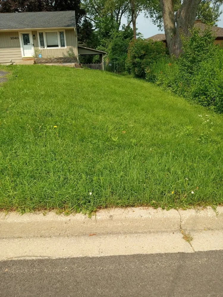 Top-rated landscaping services in Kenosha, WI by Lillians Lawn Care Service