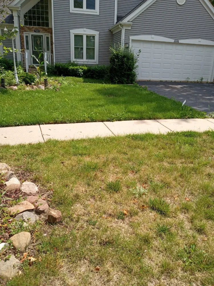 Professional landscaping services in Kenosha, WI - Lillians Lawn Care Service