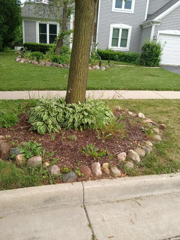 Custom lawn mowing service in Kenosha, WI - Lillians Lawn Care Service