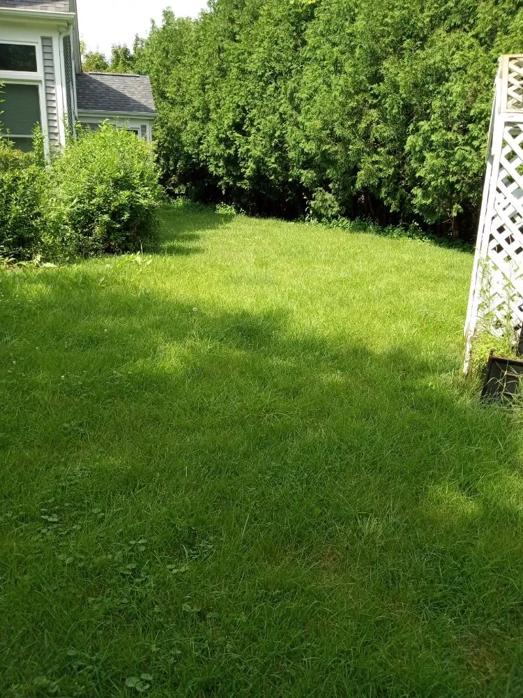 Trusted outdoor landscaping with custom design across Kenosha, WI - Lillians Lawn Care Service
