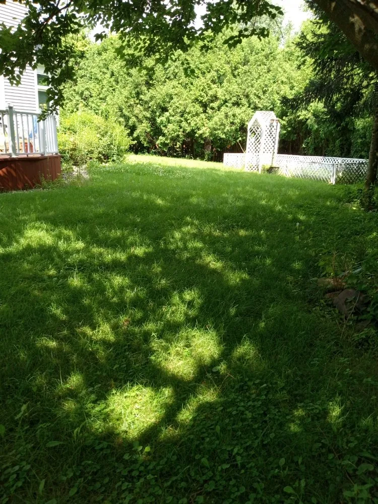 Affordable landscape installation with custom design across Kenosha, WI - Lillians Lawn Care Service