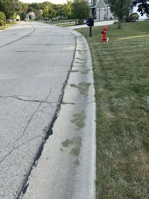 Lillians Lawn Care Service Logo