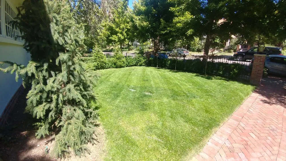 Local yard maintenance for homes in Golden, CO by Lillibridge Landscaping