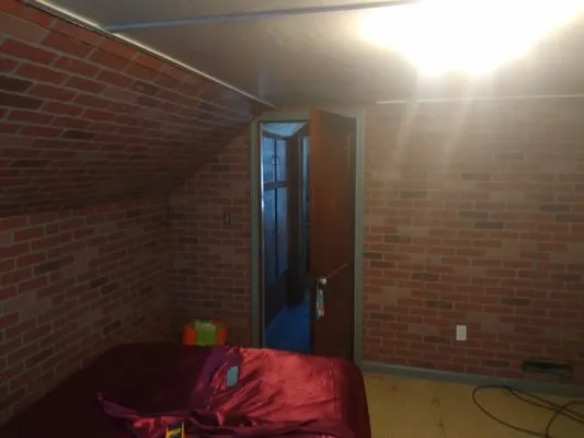 Lilliepad the handyman