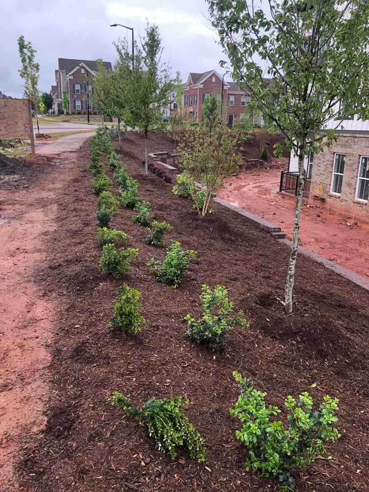 Affordable residential landscaping for beautiful yards across Lillington, NC - Lillington Landscaping