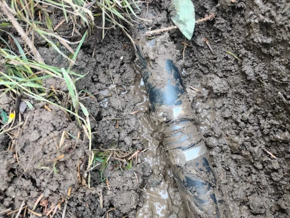 Top-rated landscaping services in Canton, OH by Lilly Irrigation Maintenance