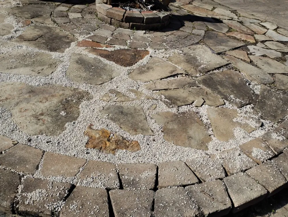 Expert residential landscaping experts serving Canton, OH - Lilly Irrigation Maintenance