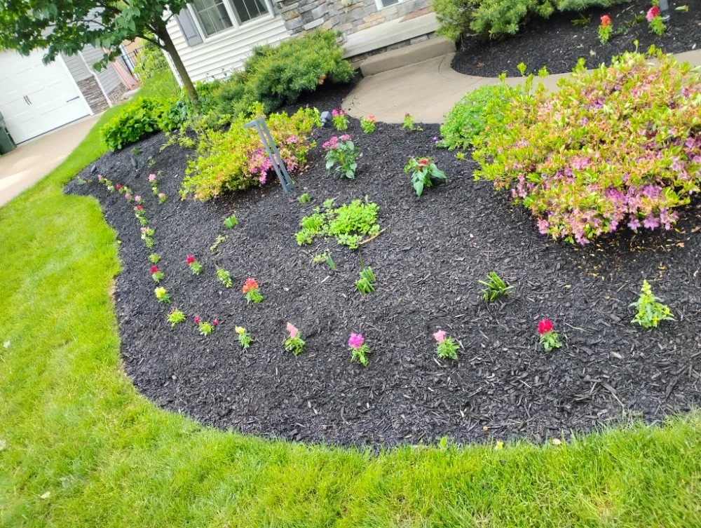 Affordable lawn care service in Canton, OH by Lilly Irrigation Maintenance