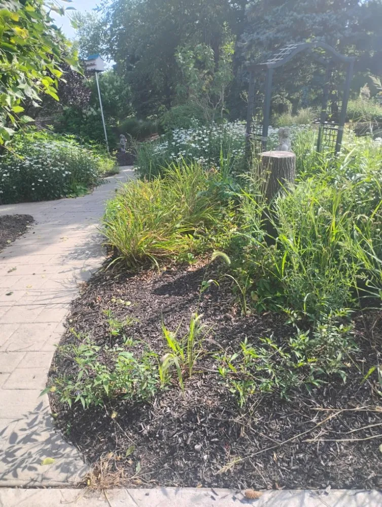 Top-rated residential landscaping in Canton, OH - Lilly Irrigation Maintenance