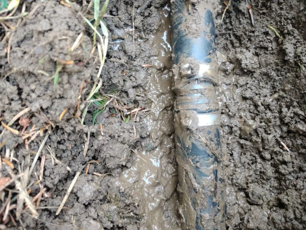 Trusted landscape design in Canton, OH - Lilly Irrigation Maintenance