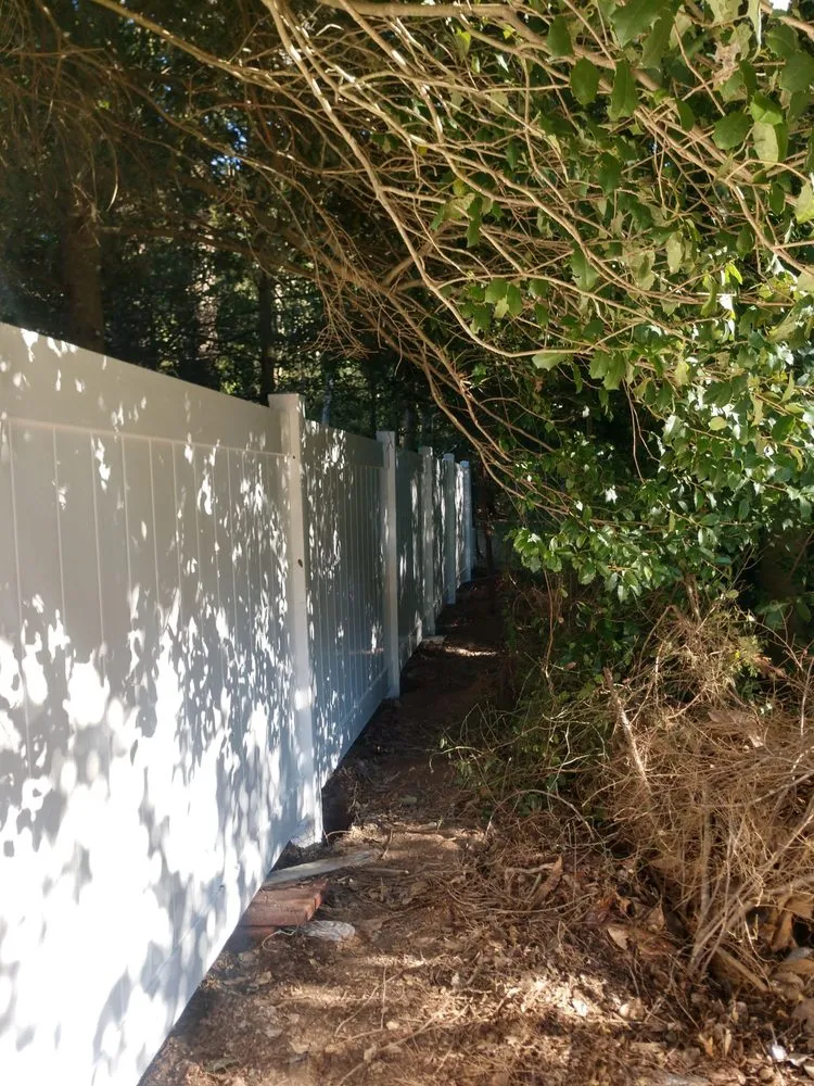 Trusted landscape installation for beautiful yards in Ellendale, DE by Lilly lawn and landscaping