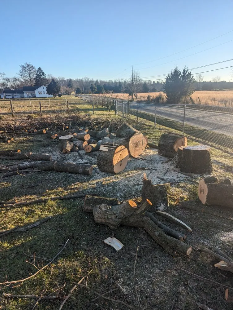 Custom landscaping services in Ellendale, DE - Lilly lawn and landscaping