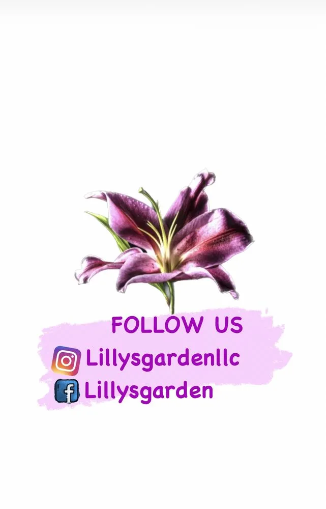 Top-rated lawn mowing service in Harrisburg, PA by Lillys Garden