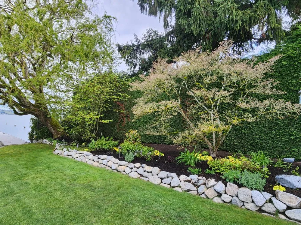 Professional residential landscaping for year-round maintenance in Kirkland, WA by Lilly's Landscaping & Construction