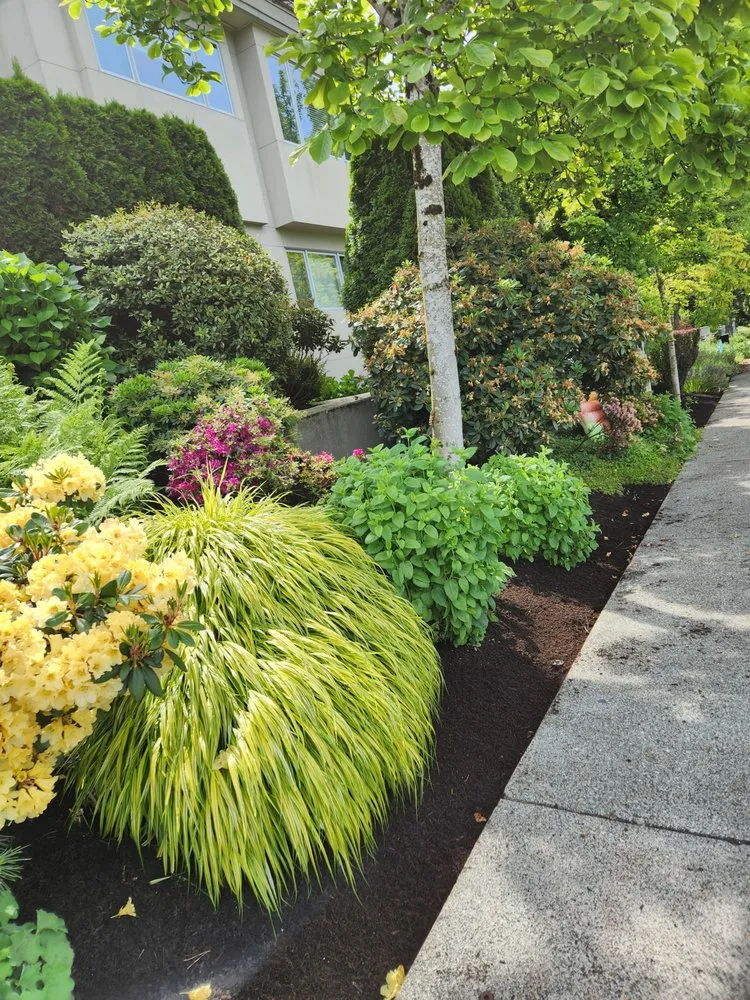 Affordable lawn mowing service in Kirkland, WA - Lilly's Landscaping & Construction