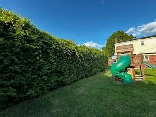 Local lawn care service in Westland, MI - Lillys Landscaping