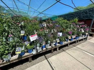 Affordable landscaping services in Westland, MI by Lillys Landscaping