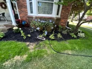 Local lawn mowing service in Westland, MI - Lillys Landscaping