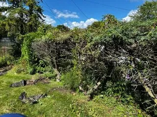 Custom lawn care service for year-round maintenance in Westland, MI by Lillys Landscaping