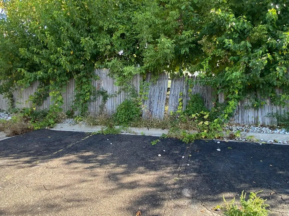 Expert landscape design in Ypsilanti, MI by Lilly’s Lawn & Snow