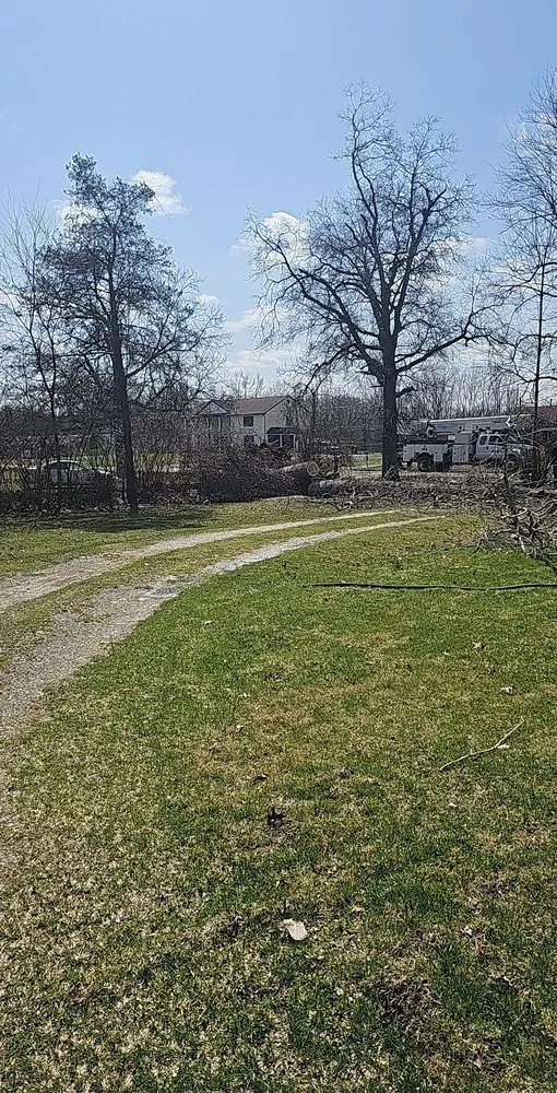 Affordable landscaping services for residential properties across Ypsilanti, MI - Lilly’s Lawn & Snow