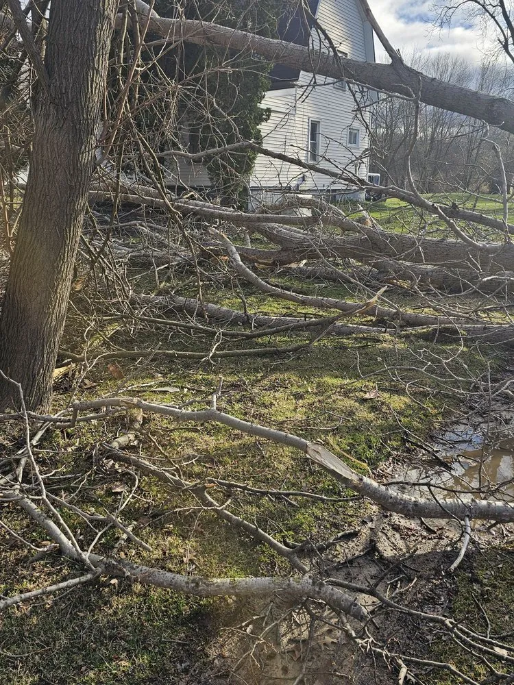 Expert landscape design experts serving Ypsilanti, MI - Lilly’s Lawn & Snow