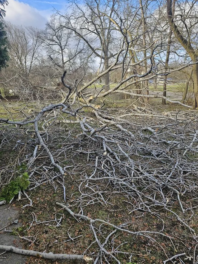 Local residential landscaping in Ypsilanti, MI by Lilly’s Lawn & Snow