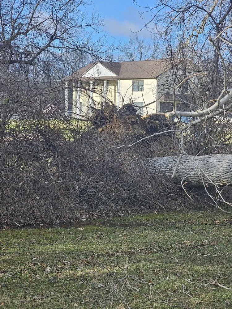 Professional landscaping services for beautiful yards in Ypsilanti, MI by Lilly’s Lawn & Snow