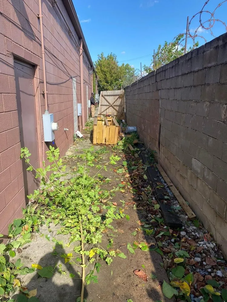 Professional landscape design in Ypsilanti, MI - Lilly’s Lawn & Snow