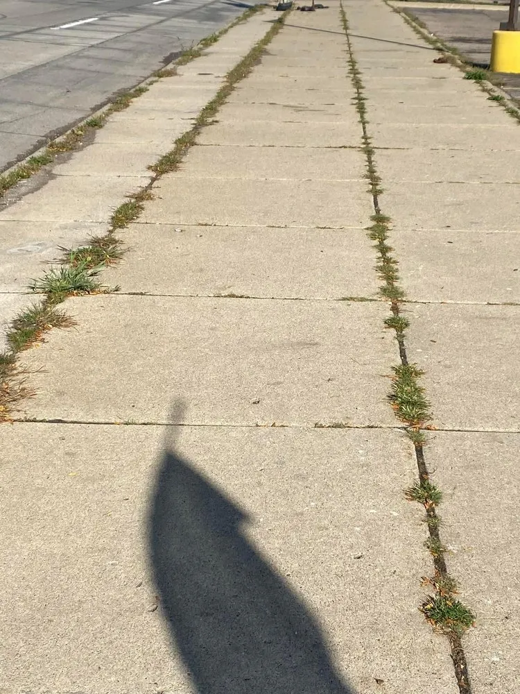 Trusted lawn mowing service for homes across Ypsilanti, MI - Lilly’s Lawn & Snow