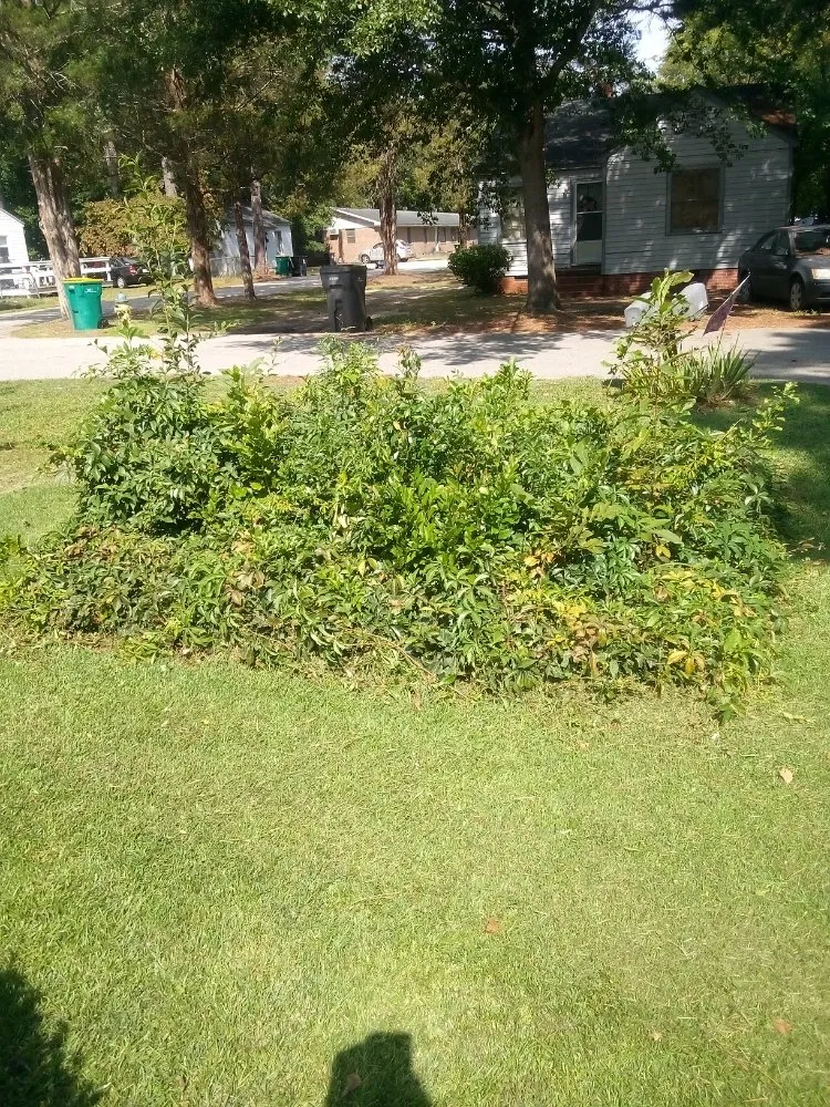 Custom lawn care service in Saint Pauls, NC - Lilly's Lawncare