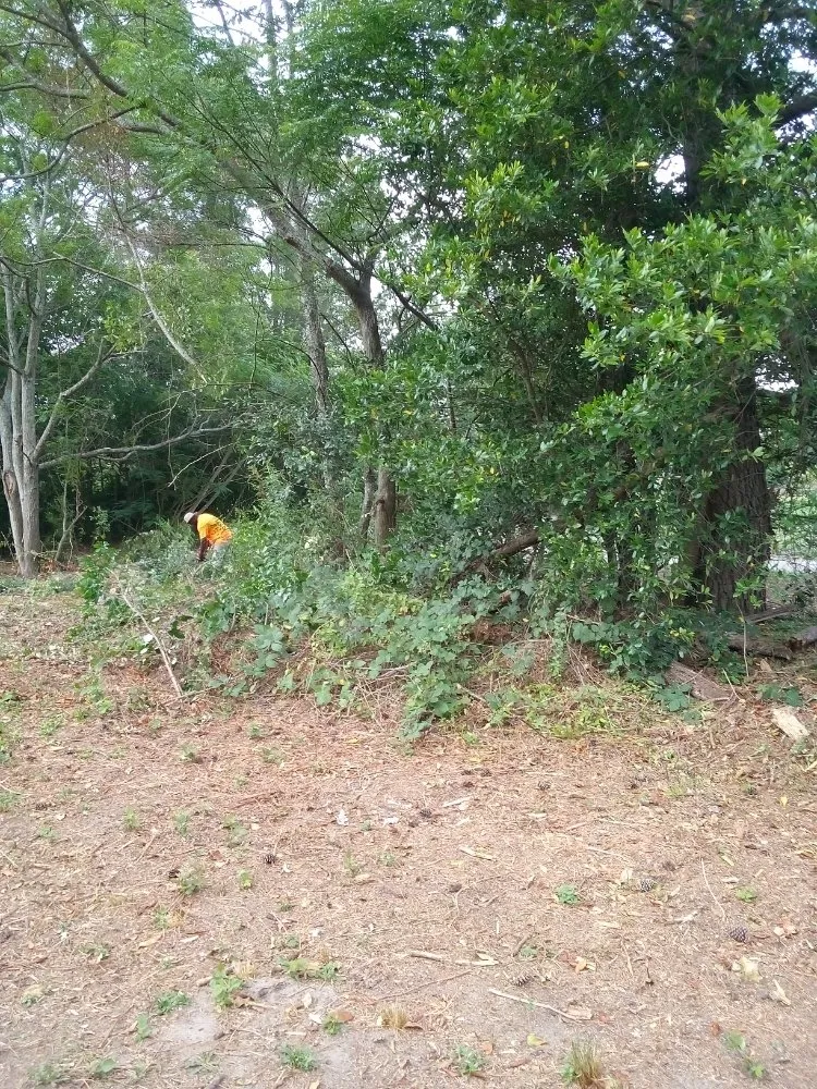 Local outdoor landscaping with custom design in Saint Pauls, NC by Lilly's Lawncare