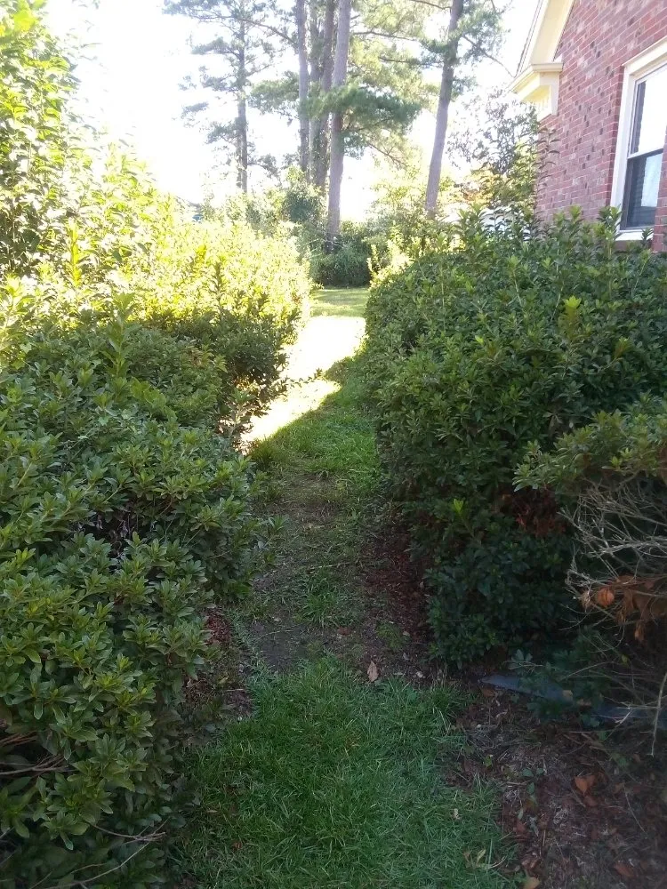 Local landscaping services in Saint Pauls, NC - Lilly's Lawncare
